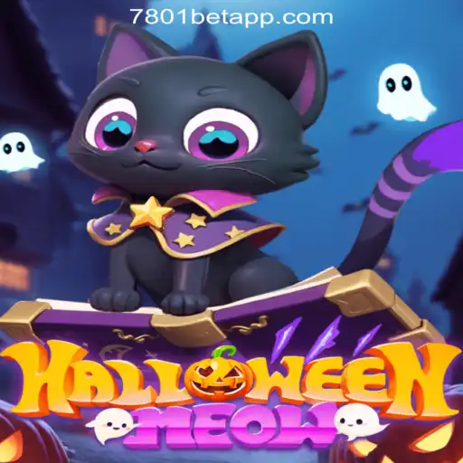 Dive into the Spooky Fun of HalloweenMeow: A Thrilling Slot Adventure