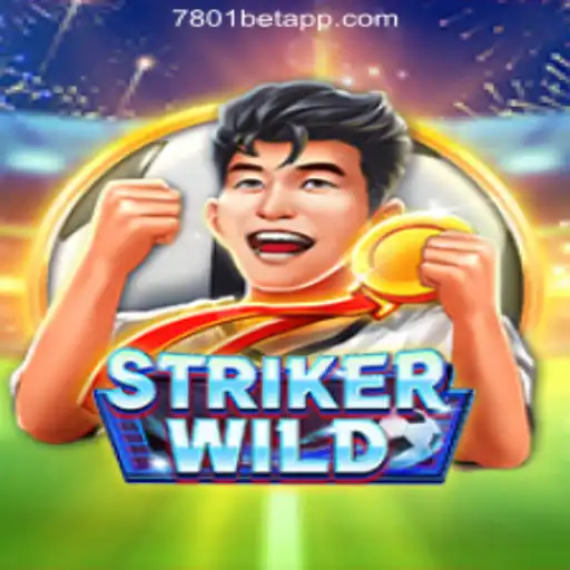 Exploring the Thrilling World of StrikerWILD