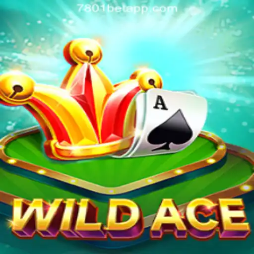 Explore WildAce: The Exciting New Casino Game in Brazil
